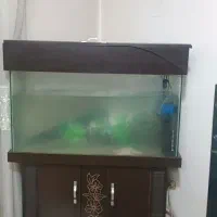 فروش آکواریوم