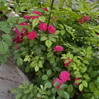 فروش مسکن مهر 94 متری پارکینگ دار