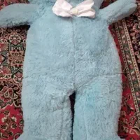 یک عدد خرس کپل