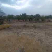 زمین-مسکونی-در-ساردویه