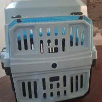 باکس گربه