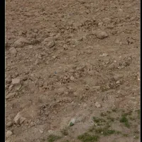 متری ۳ تومان تخفیف پای معامله