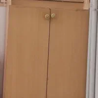 جاکفشی سالم