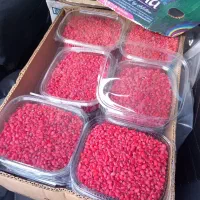 زرشک فقط امروزکیلویی 200|خوردنی و آشامیدنی|مشهد, شهرک بهارستان|دیوار