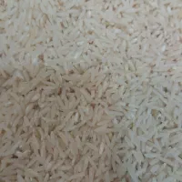 فروش طارم کشت دو