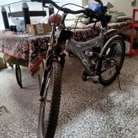 دو چرخه 24