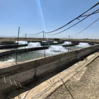 زمین کشاورزی و پرورش ماهی فقط 30 میلیارد تومن