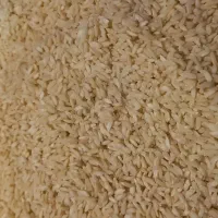 ۱۰۰ کیلو بومی بفروش میرسده