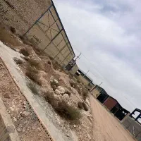 کارخانه-واقع-در-فریمان