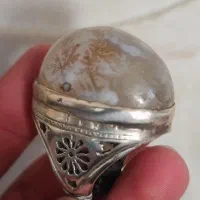 انشتری شمایل و شجر