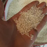 خورده برنج