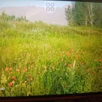 باغ و زمین زراعی