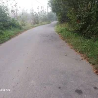 شالی سنتی سندتک برگ|فروش زمین و ملک کلنگی|رشت, استادسرا|دیوار