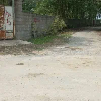 ۴۵۰ متر زمین پروانه دار محصور/ کوچصفهان /کنارسر|فروش زمین و ملک کلنگی|کوچصفهان, |دیوار