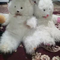 دوعدد عروسک خرس