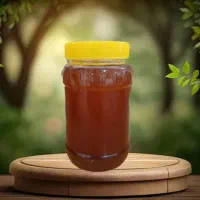 عسل درجه یک اکالیپتوس