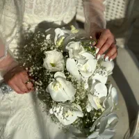 تشریفات مجلل عروسی سپید نقد ‌اقساط