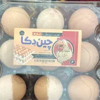 تخم مرغ محلی گلپایگانی اصل