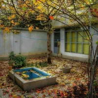 زمین 70متری نوار قلبی