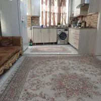 ۵۰ متر / پارکینگ / شیک/ م بروجردی|اجارهٔ آپارتمان|تهران, صد دستگاه|دیوار