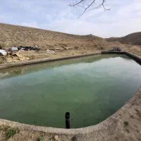 باغ‌مزرعه ۳/۸ هکتاری با استخر، خانه‌باغ و آب دائمی|فروش زمین و ملک کلنگی|تفرش, |دیوار