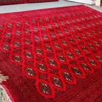 فرش دستبافت ترکمن|فرش|مشهد, سرافرازان|دیوار