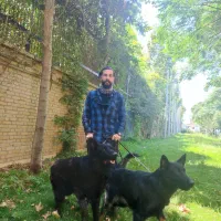 مربی سگ در تهران/آموزش سگ/تربیت تخصصی سگ در تهران