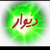 ضامن میشم برای زندانی