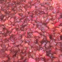 زرشک اناری مخصوص مجلس کترینگ تهیه غذا قیمت۴۰۰تومان