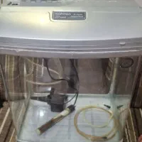 اکواریوم شیشه خم