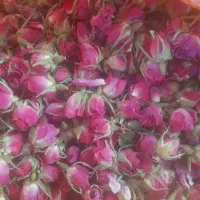 هرس و تمامی خدمات باغداری