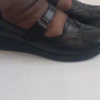 کفش طبی|کیف، کفش، کمربند|سرپل ذهاب, |دیوار