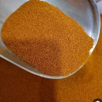 فروش خاکشیر تازه و بومی همدان بصورت عمده و جزئی|خوردنی و آشامیدنی|کاشان, شهرک خاتم الانبیا (مسکن ملی کاشان)|دیوار