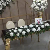 دستیار مدیر عامل (خانم)