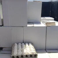 تخم مرغ عمده خرده قیمت درب مرغداری