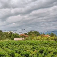 فروش 312 زمین تخفیف بلک فرایدی|فروش زمین و ملک کلنگی|املش, |دیوار