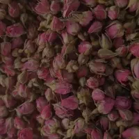 فروش عمده غنچه گل محمدی داراب بار لوکس ۶۰۰ کیلو