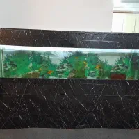 اکواریوم بزرگ