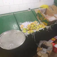 پالت میوه فروشی