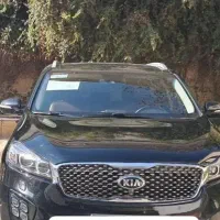 همکاری و راهنمایی|فعالیت داوطلبانه|کرمان, |دیوار