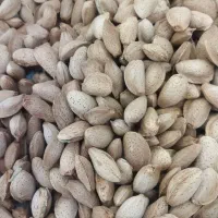 بادام کوهسرخ