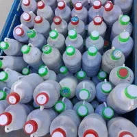 خیار شور|خوردنی و آشامیدنی|شیروان (خراسان), |دیوار