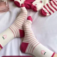 پوشاک زنانه /جوراب|لباس|صدرا-فارس, فاز ۱|دیوار