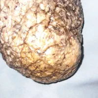 سنگ جواهراتی وفضای|جواهرات|زاهدان, |دیوار