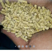 پلیت دان گوسفندی و کود سنم