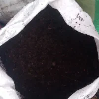 کود گاوی|خدمات باغبانی و درختکاری|فومن, |دیوار