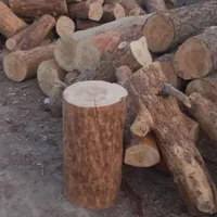 ورامین پیشواپاکدشت قرچک وحومه|خدمات باغبانی و درختکاری|ورامین, ورامین|دیوار