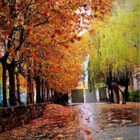 لواسان معاوضه و فروش1100 مترقابل ساخت دنج و مشجر