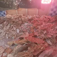 نان مخصوص دام