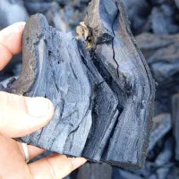 زغال کبابی با گارانتی کتبی|عمده‌فروشی|شوشتر, |دیوار